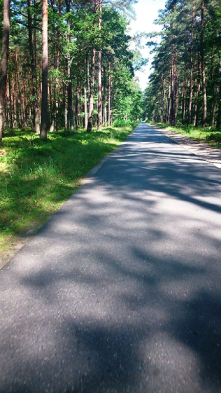 Na północ - czyli rowerem nad morze
