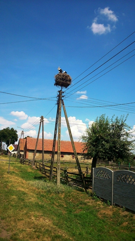 Na północ - czyli rowerem nad morze