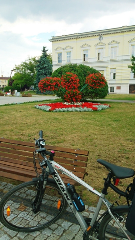 Na północ - czyli rowerem nad morze