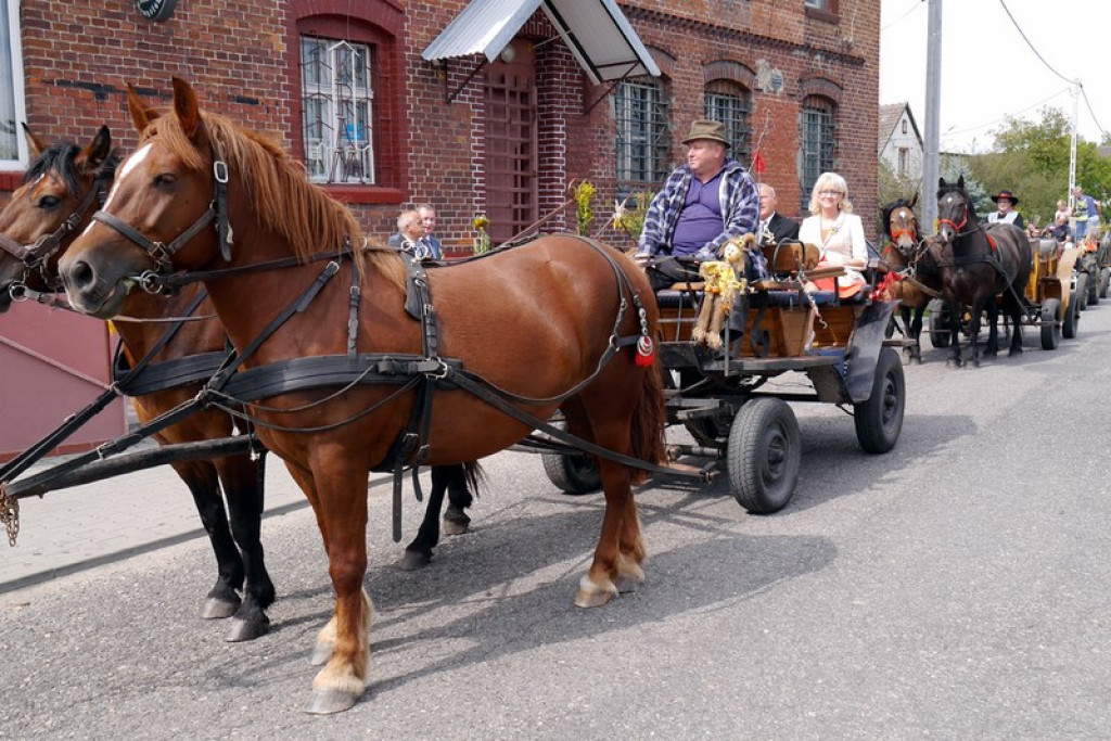 Dożynki w Gminie Lubsza - FOTORELACJA