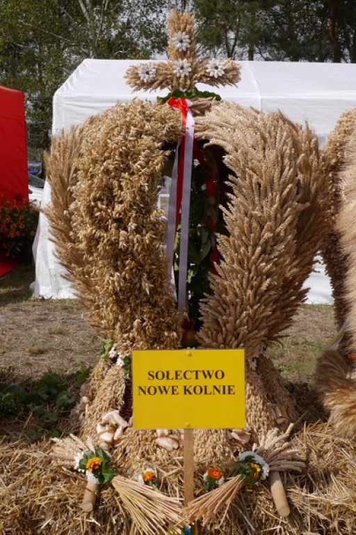 Dożynki w Gminie Lubsza - FOTORELACJA