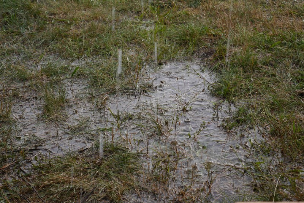 Dożynki w Gminie Lubsza - FOTORELACJA