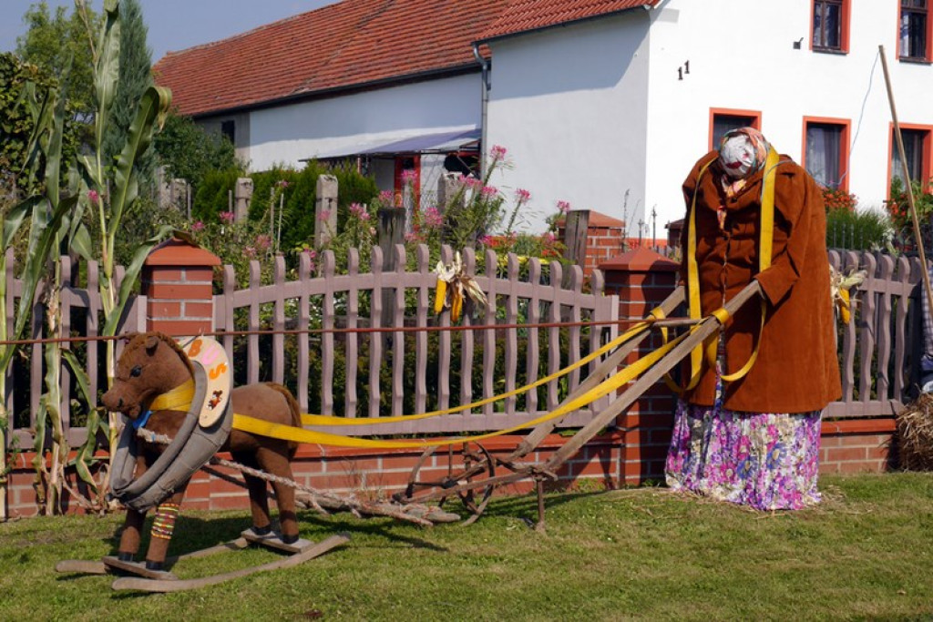 Różyna - Dożynki Gminne FOTORELACJA