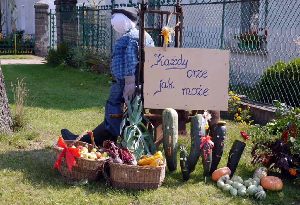 Różyna - Dożynki Gminne FOTORELACJA