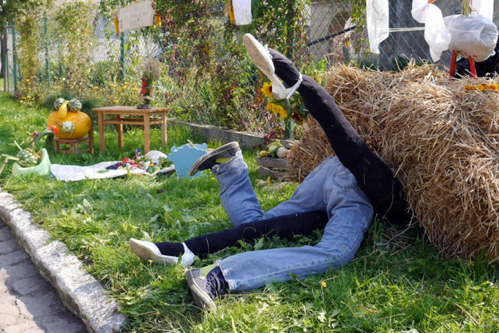 Różyna - Dożynki Gminne FOTORELACJA