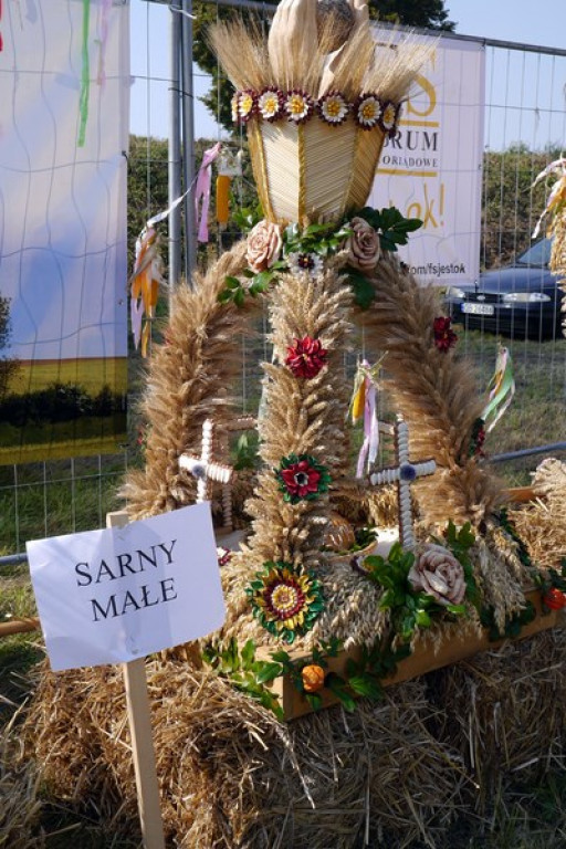 Różyna - Dożynki Gminne FOTORELACJA