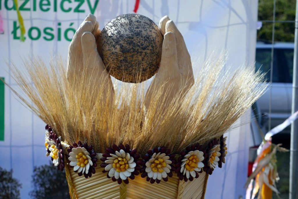 Różyna - Dożynki Gminne FOTORELACJA