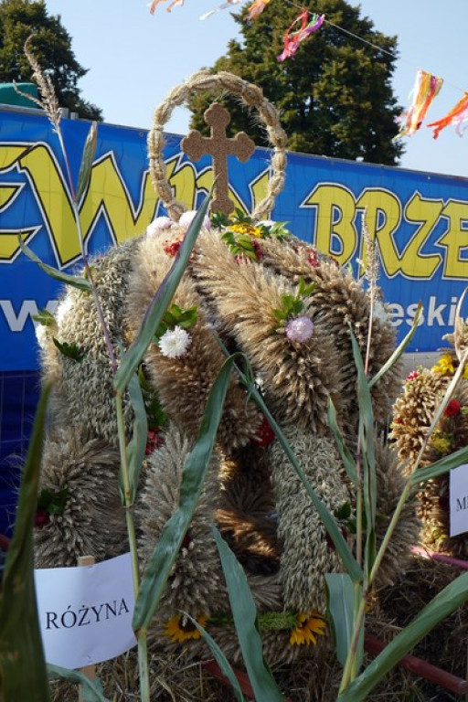Różyna - Dożynki Gminne FOTORELACJA