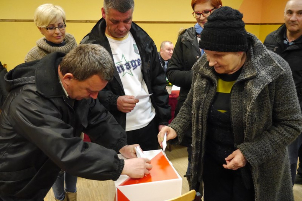 WYBORY SOŁTYSÓW  W GMINIE  LUBSZA