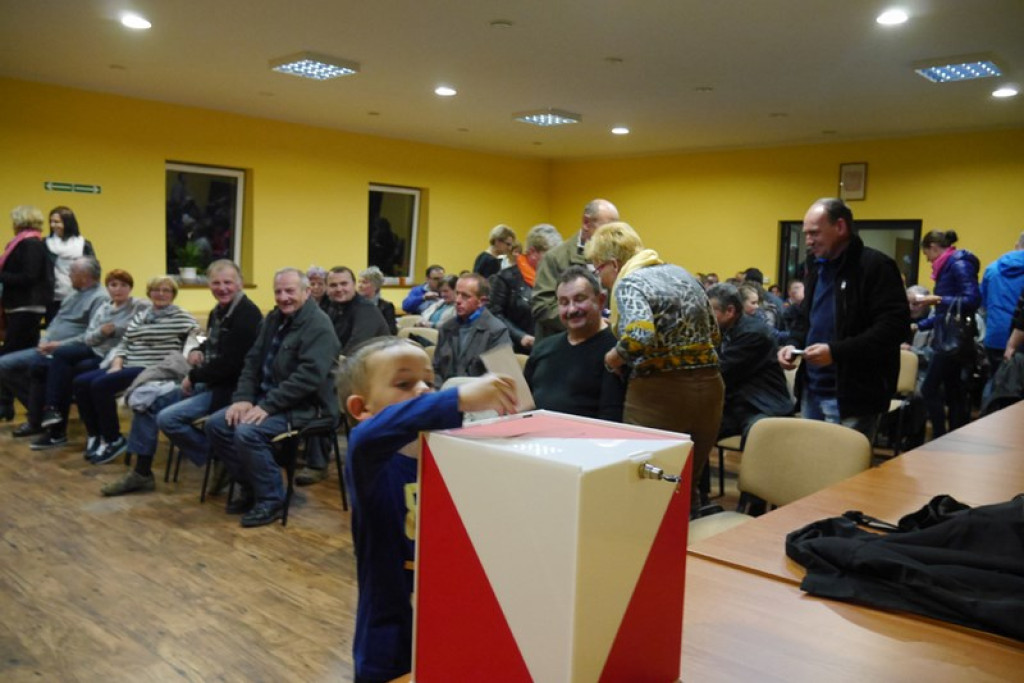 WYBORY SOŁTYSÓW  W GMINIE  LUBSZA