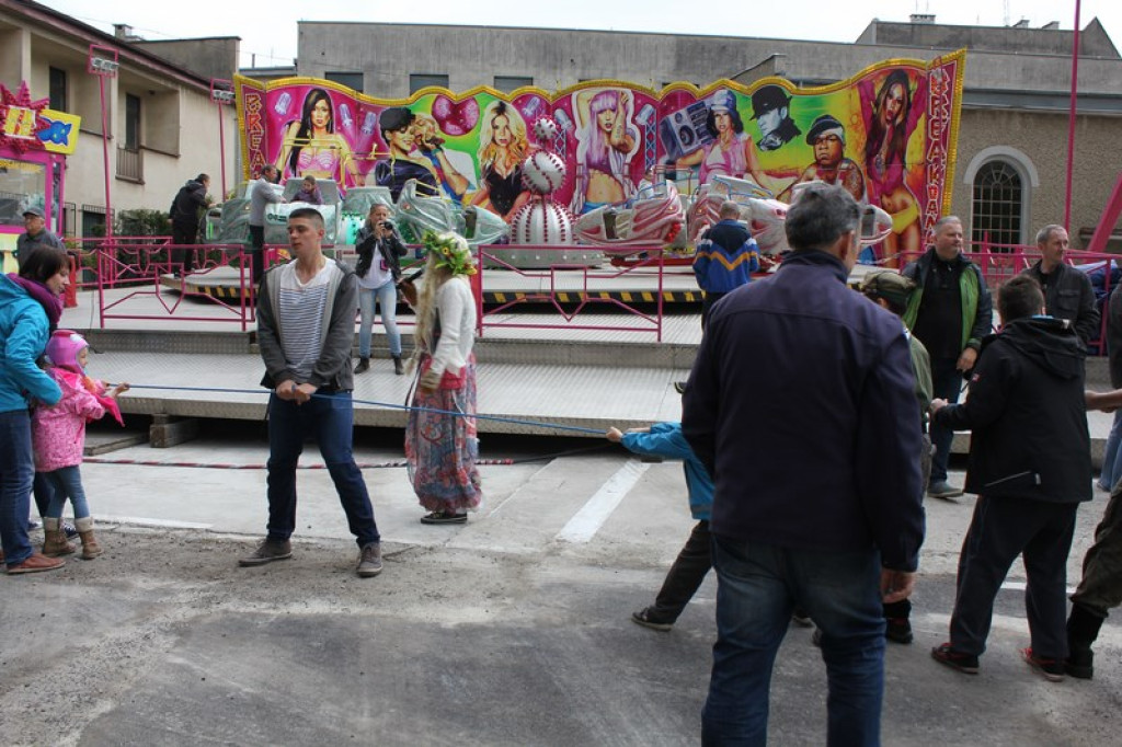 Piknik książęcy i wystawa gadów [fotorelacja]