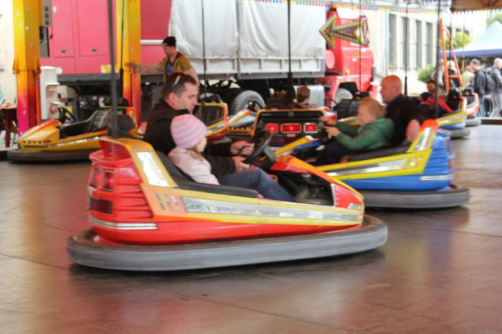 Piknik książęcy i wystawa gadów [fotorelacja]