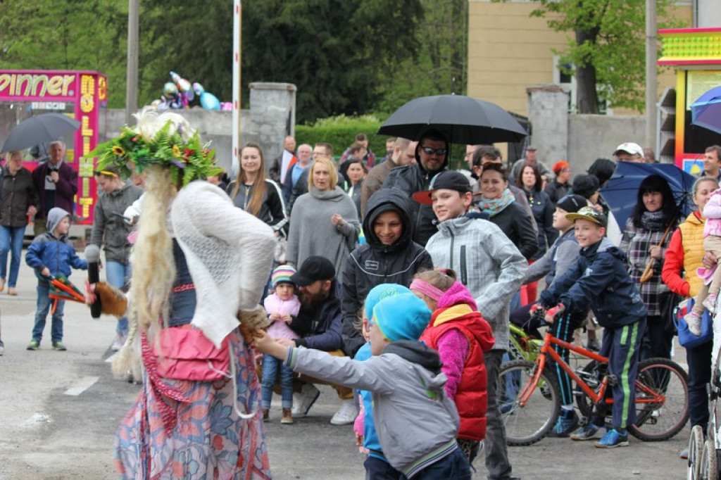 Piknik książęcy i wystawa gadów [fotorelacja]