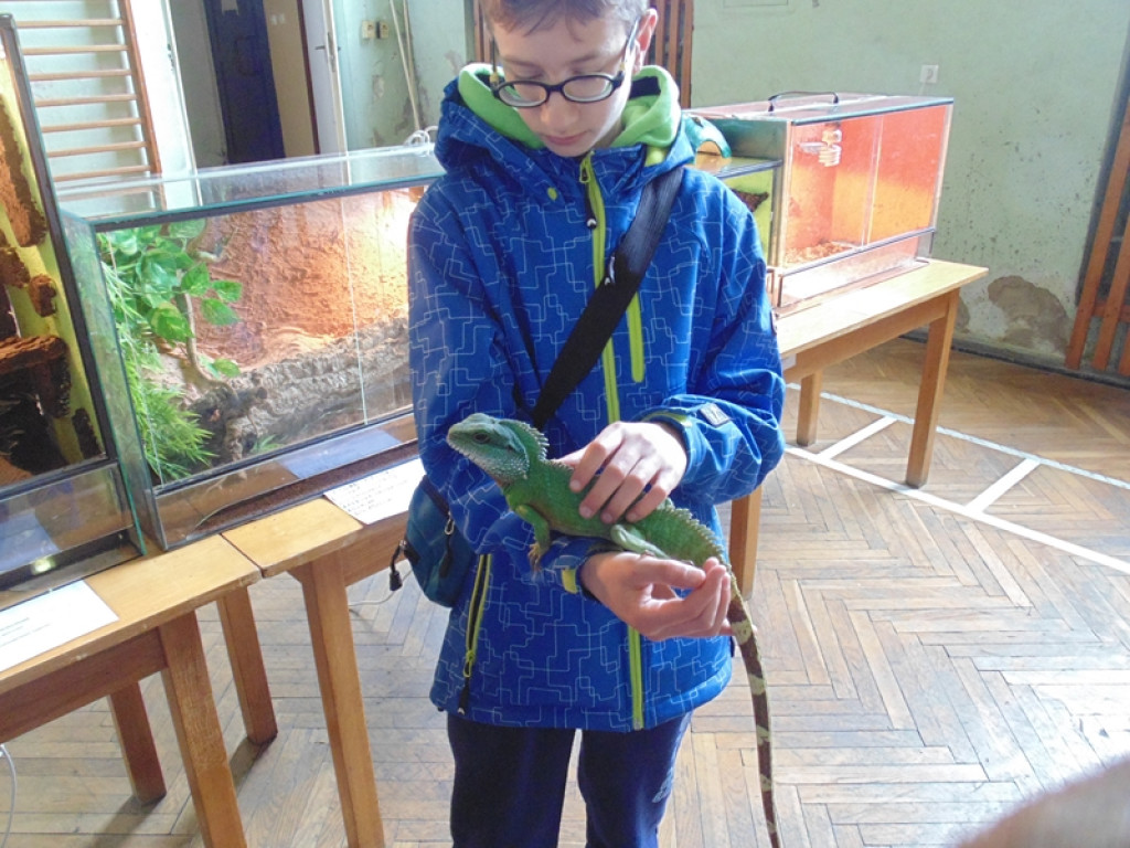 Piknik książęcy i wystawa gadów [fotorelacja]