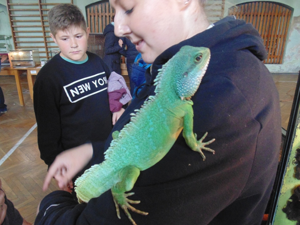 Piknik książęcy i wystawa gadów [fotorelacja]