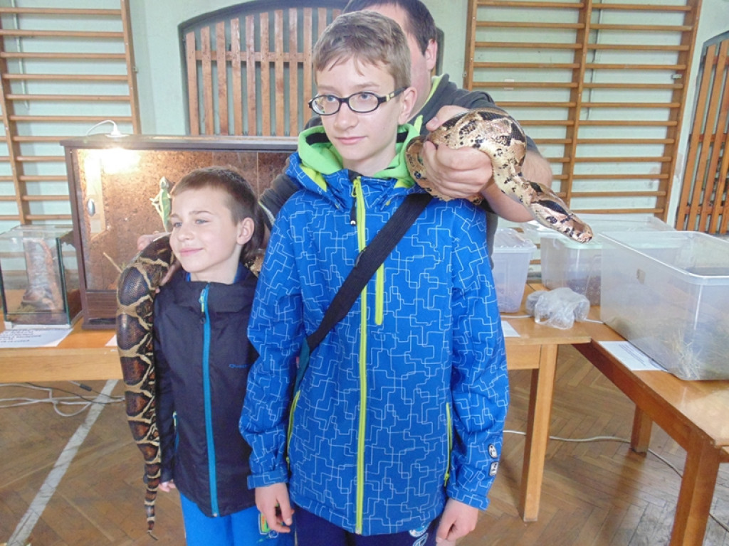 Piknik książęcy i wystawa gadów [fotorelacja]