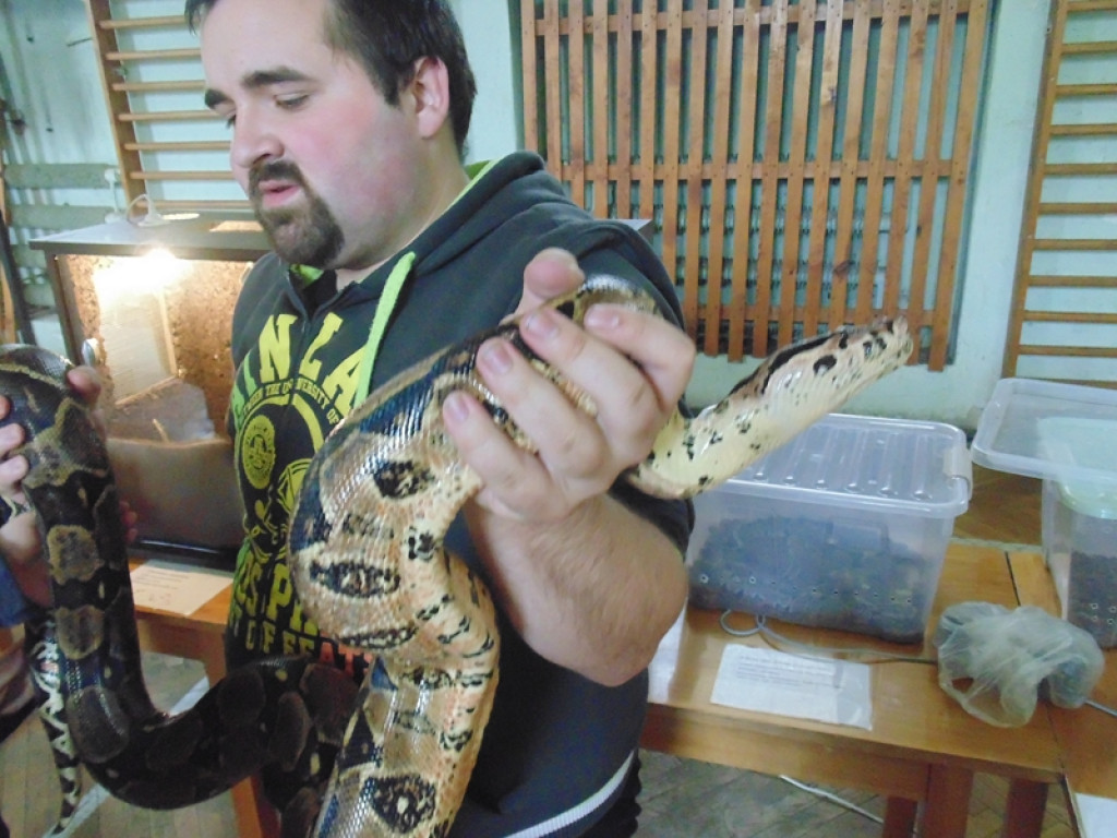 Piknik książęcy i wystawa gadów [fotorelacja]