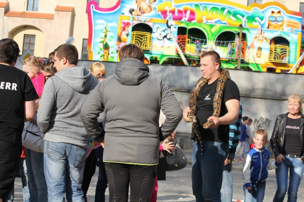 Dni Księstwa Brzeskiego - występy młodych artystów w amfiteatrze [fotorelacja].