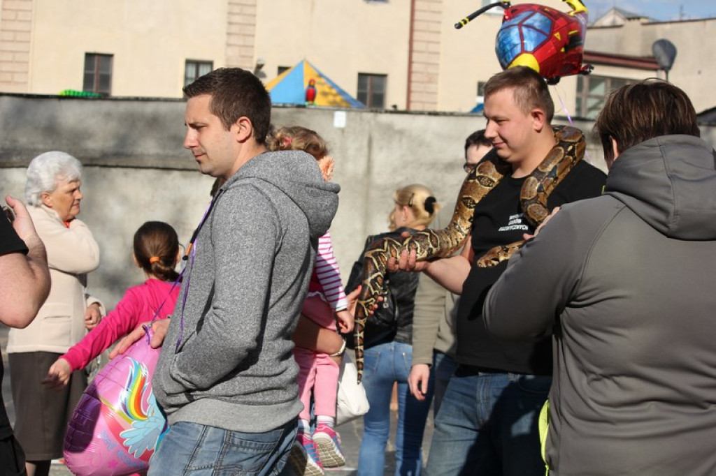 Dni Księstwa Brzeskiego - występy młodych artystów w amfiteatrze [fotorelacja].