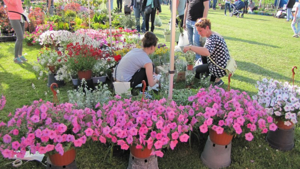 Wyniki Turnieju Gmin w ramach 