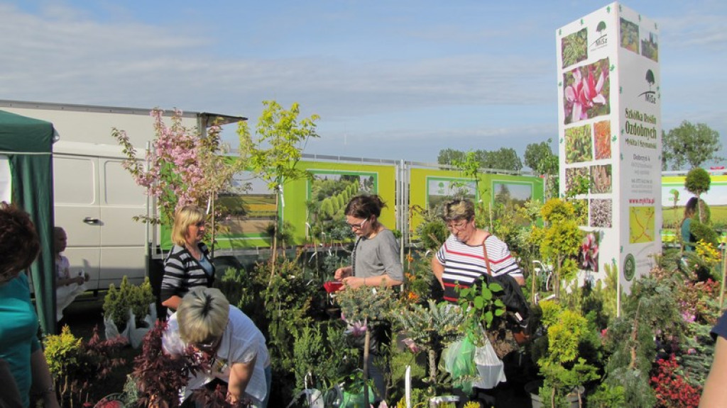 Wyniki Turnieju Gmin w ramach 