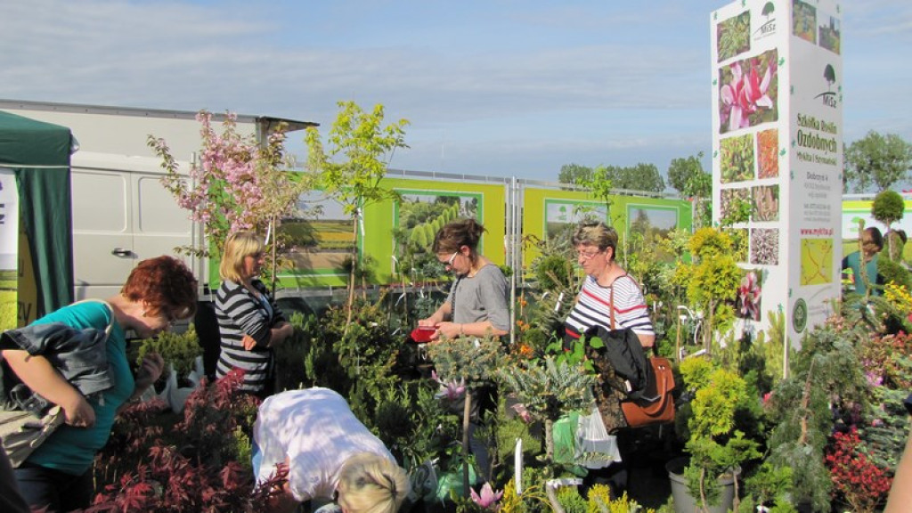 Wyniki Turnieju Gmin w ramach 