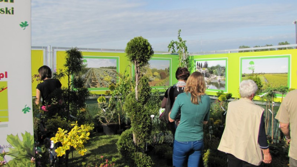 Wyniki Turnieju Gmin w ramach 