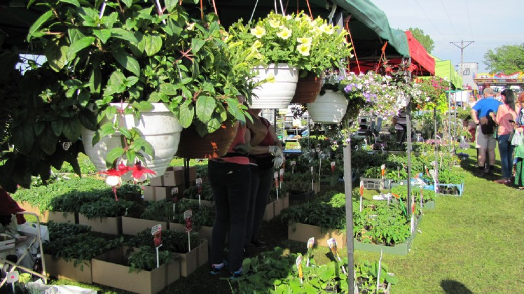 Wyniki Turnieju Gmin w ramach 