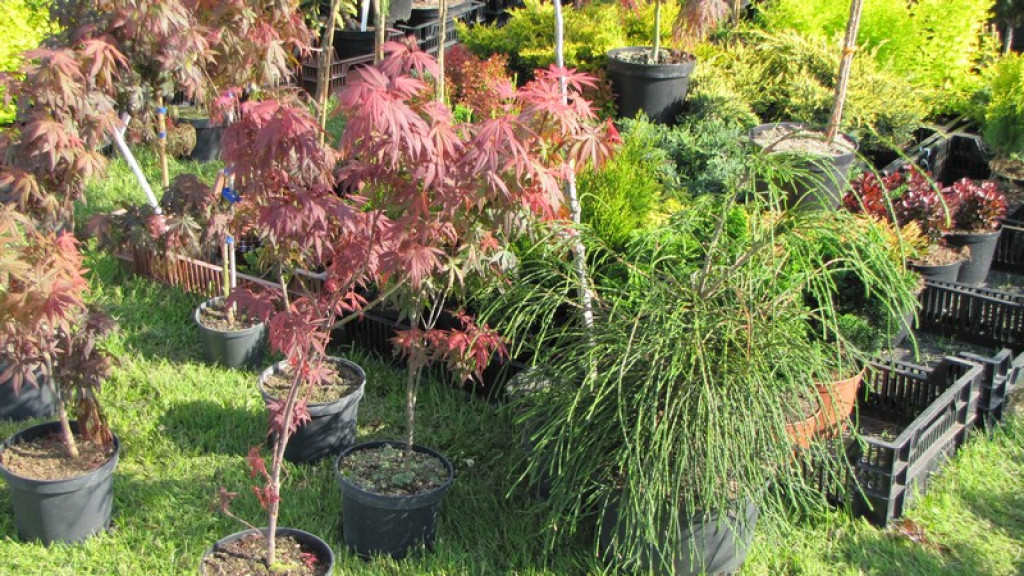 Wyniki Turnieju Gmin w ramach 