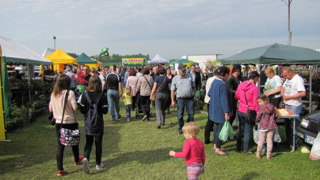 Wyniki Turnieju Gmin w ramach 