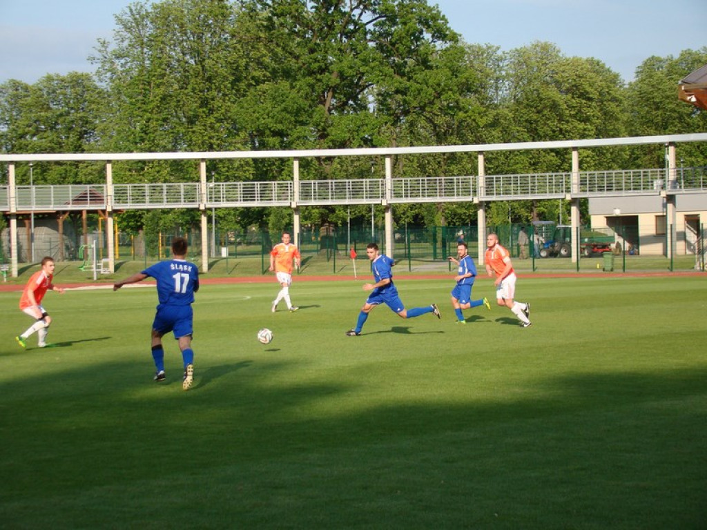 Śląsk wygrał ze Stalą