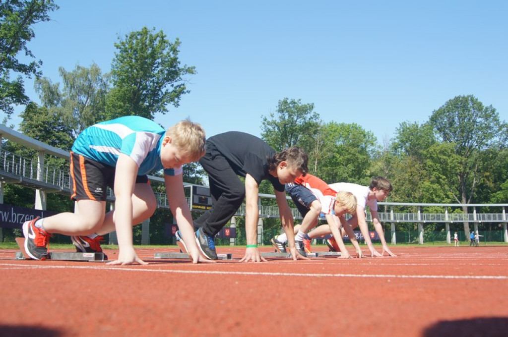 Drugi dzień Pikniku Lekkoatletycznego [galeria zdjęć]