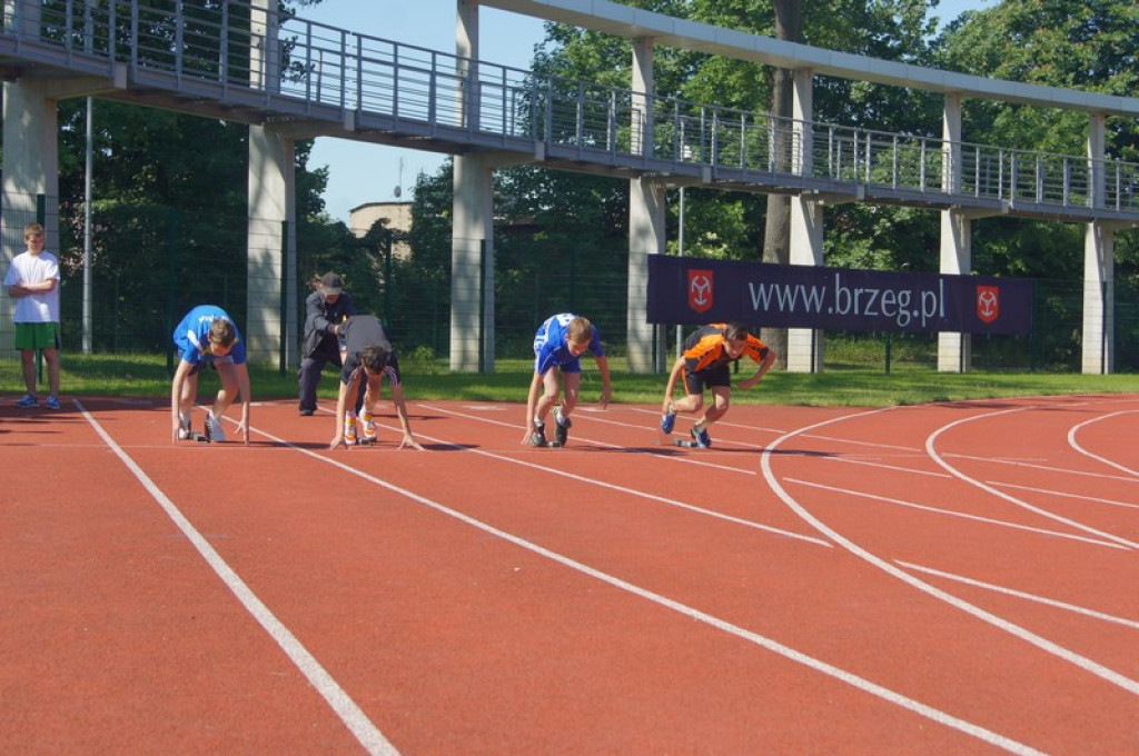 Drugi dzień Pikniku Lekkoatletycznego [galeria zdjęć]