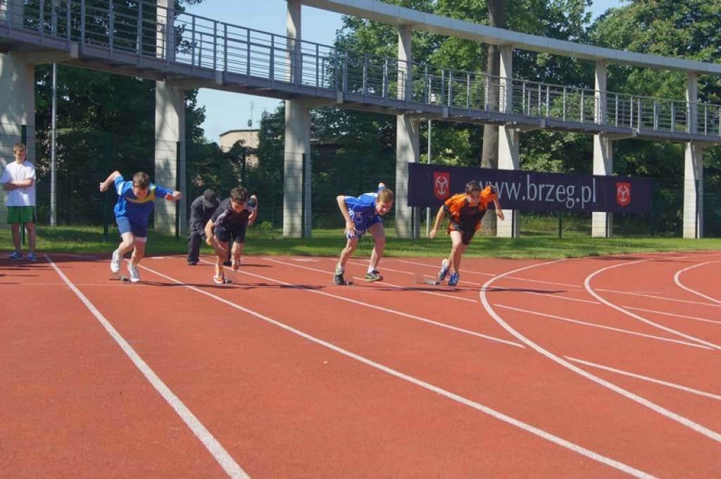Drugi dzień Pikniku Lekkoatletycznego [galeria zdjęć]
