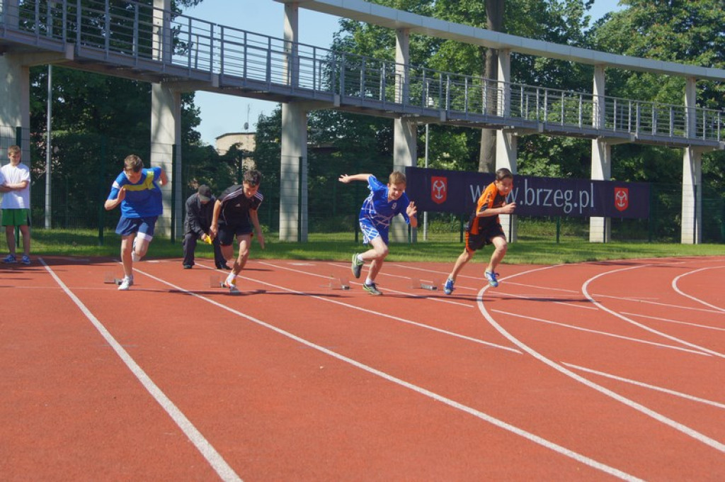 Drugi dzień Pikniku Lekkoatletycznego [galeria zdjęć]