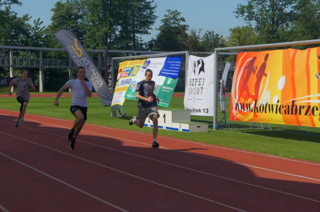 Drugi dzień Pikniku Lekkoatletycznego [galeria zdjęć]