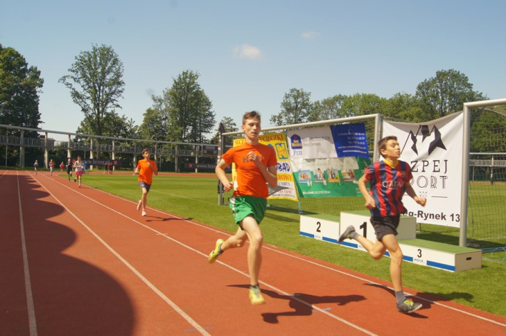 Drugi dzień Pikniku Lekkoatletycznego [galeria zdjęć]