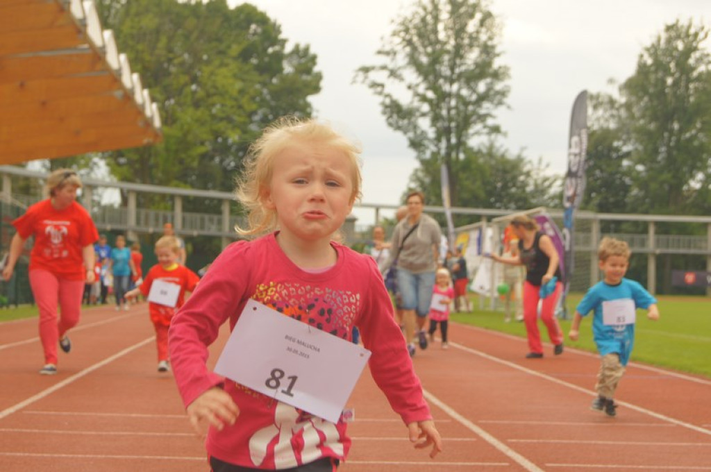 Drugi dzień Pikniku Lekkoatletycznego [galeria zdjęć]