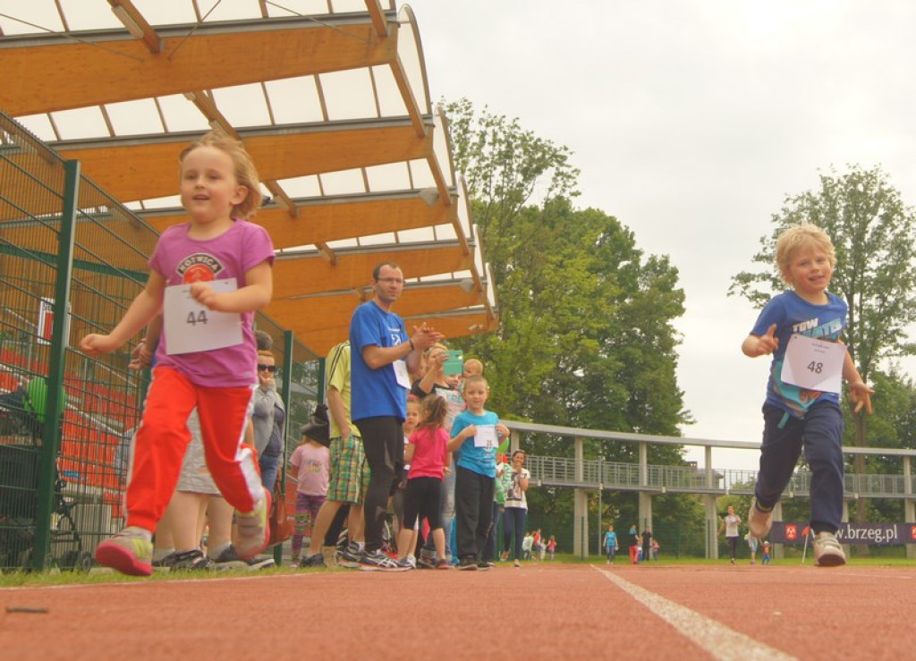 Drugi dzień Pikniku Lekkoatletycznego [galeria zdjęć]