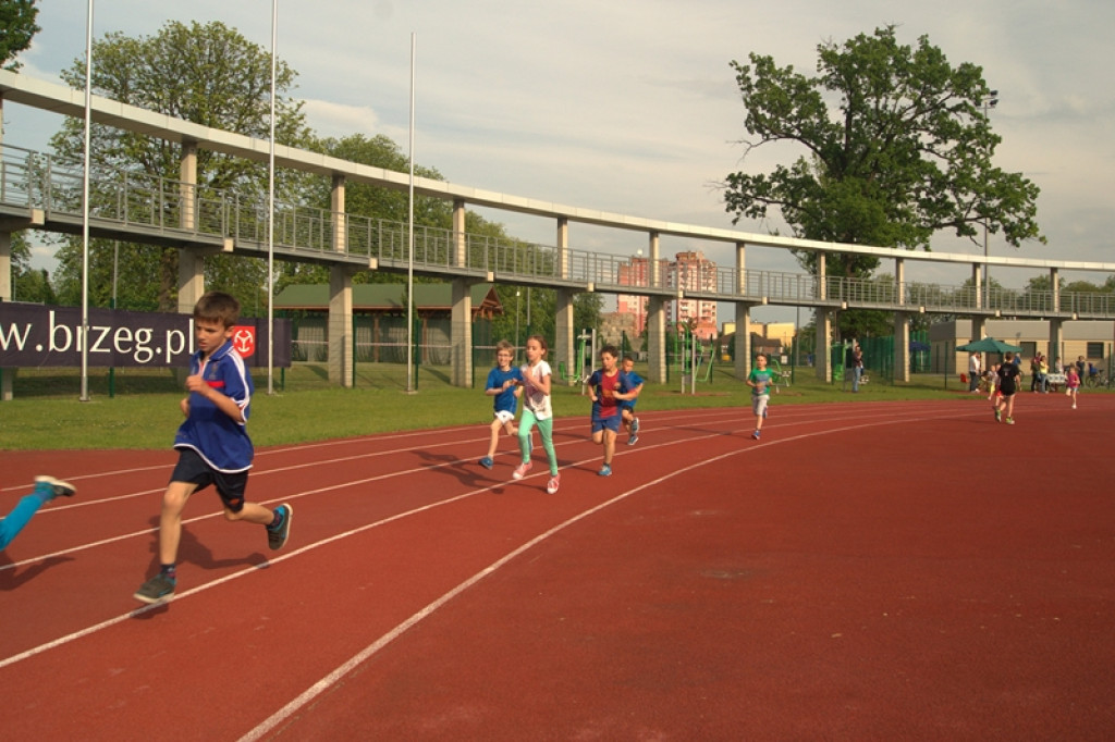 Pierwszy dzień Pikniku Lekkoatletycznego - Polska Biega [galeria zdjęć]