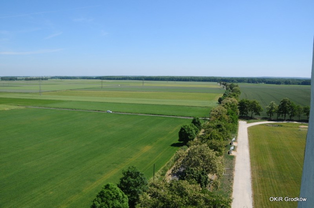 Sobotnie wydarzenia Dni Grodkowa [fotorelacja]