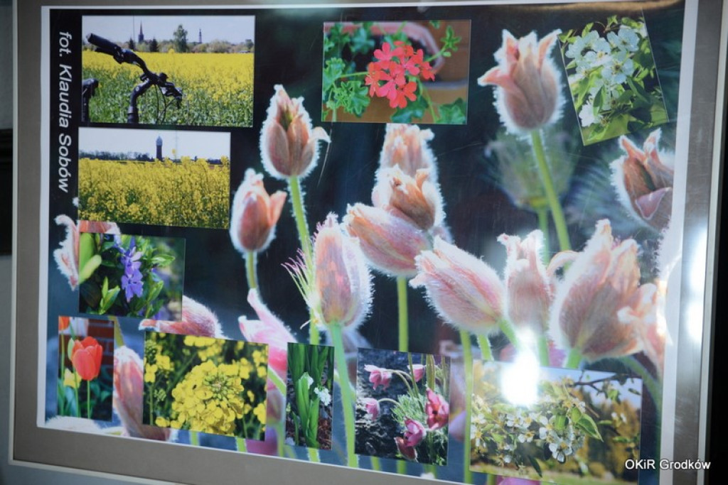 KONKURS FOTOGRAFICZNY 2015 