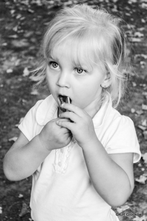 KONKURS FOTOGRAFICZNY 2015 