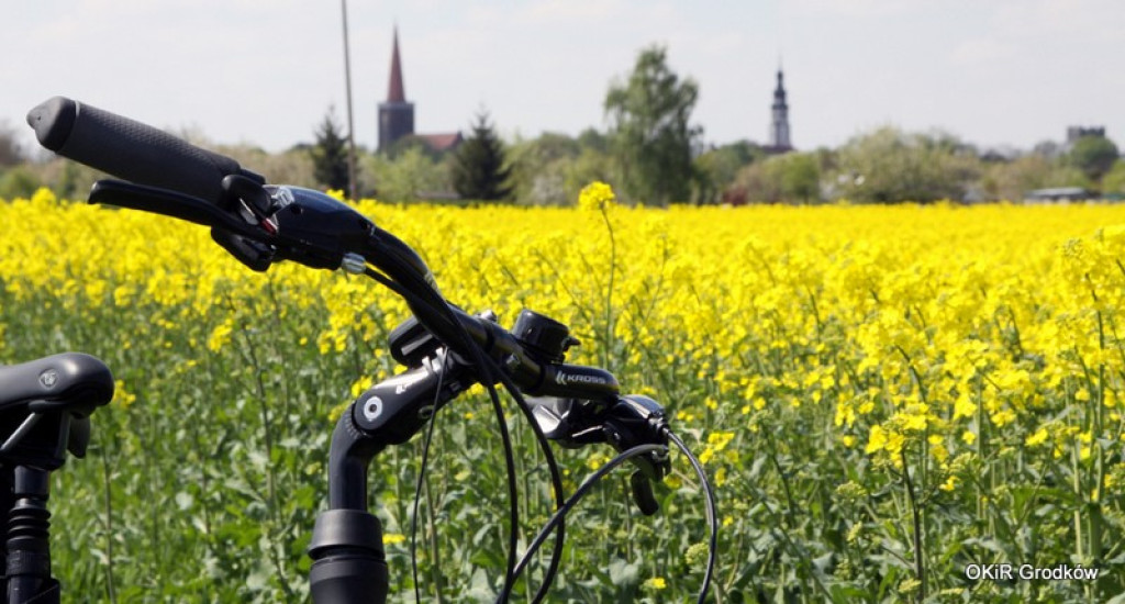 KONKURS FOTOGRAFICZNY 2015 