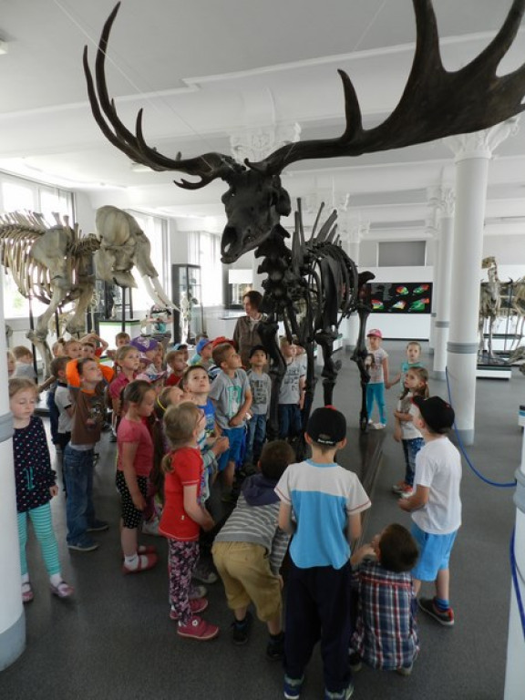 Wycieczkowy zawrót głowy w Jedenastce