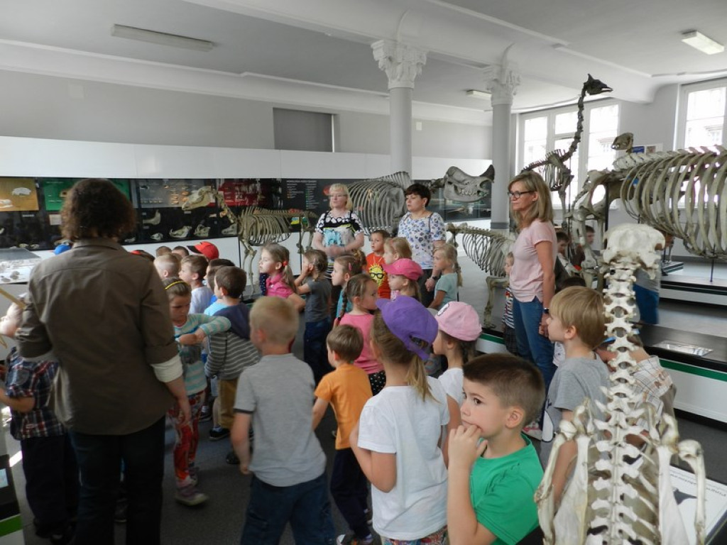 Wycieczkowy zawrót głowy w Jedenastce