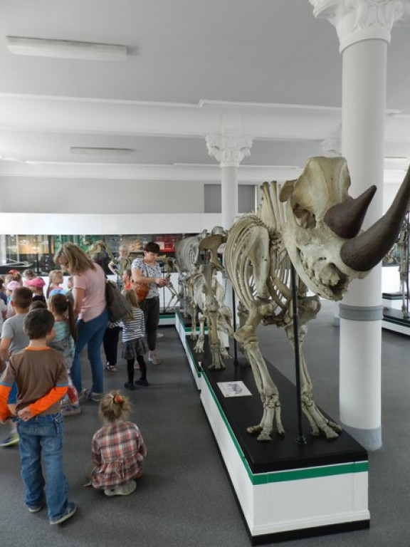 Wycieczkowy zawrót głowy w Jedenastce