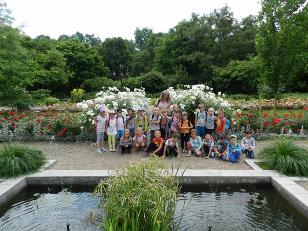 Wycieczkowy zawrót głowy w Jedenastce