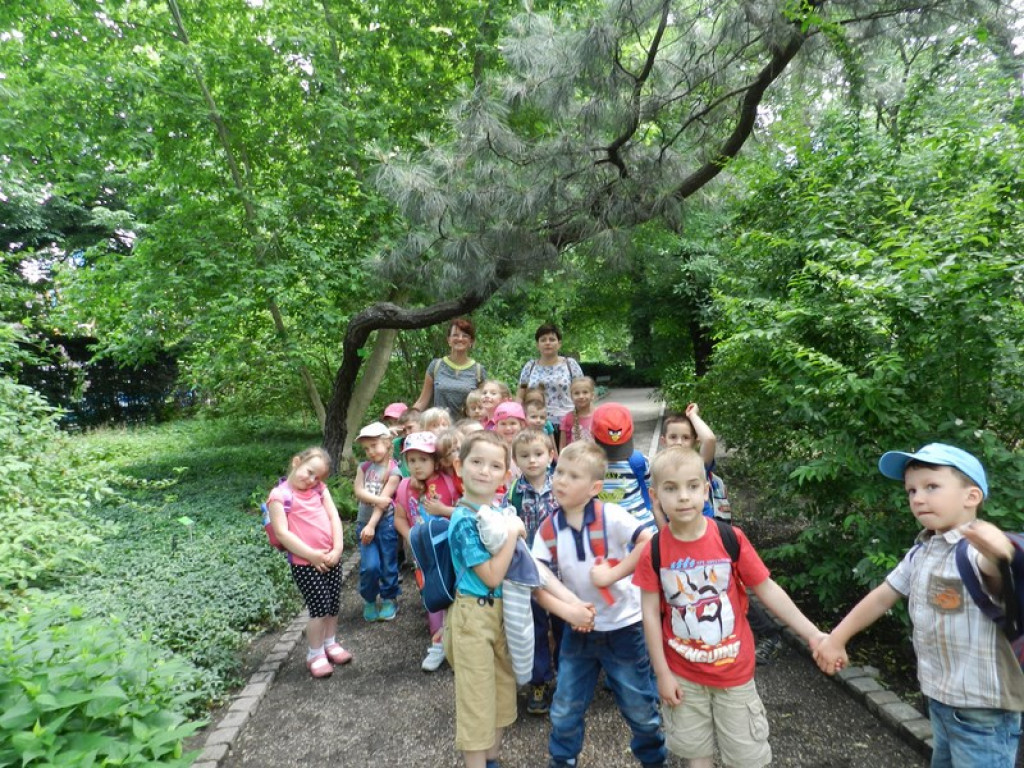 Wycieczkowy zawrót głowy w Jedenastce