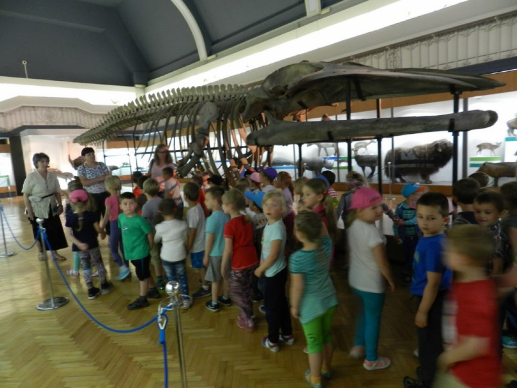 Wycieczkowy zawrót głowy w Jedenastce